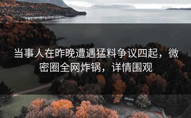 当事人在昨晚遭遇猛料争议四起，微密圈全网炸锅，详情围观
