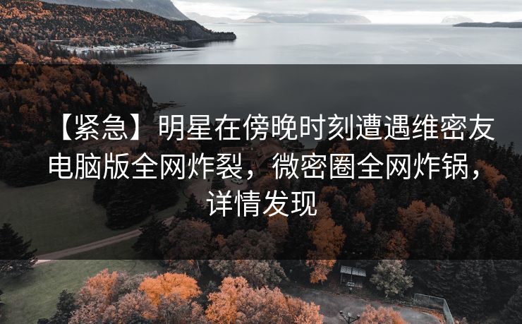 【紧急】明星在傍晚时刻遭遇维密友电脑版全网炸裂，微密圈全网炸锅，详情发现
