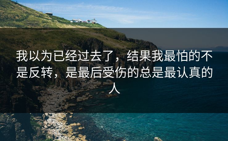 我以为已经过去了,结果我最怕的不是反转,是最后受伤的总是最认真的人